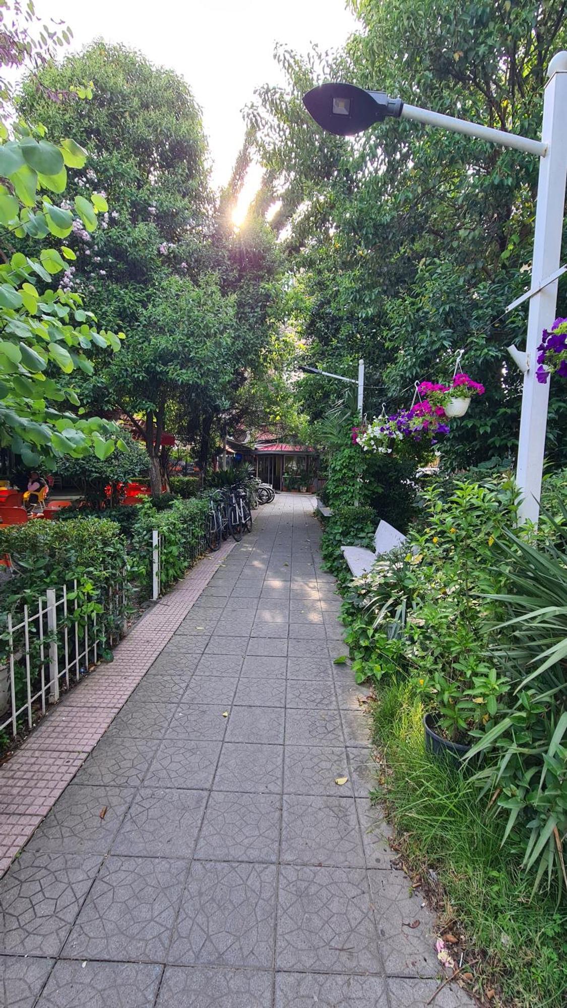 Dei Cozy Apartment Shkodër Esterno foto